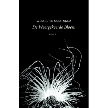 De weergekeerde bloem (Paperback) bij Singel 344