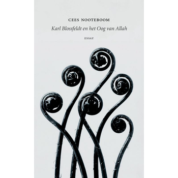 Karl Blossfeldt en het Oog van Allah (Paperback) bij Singel 344
