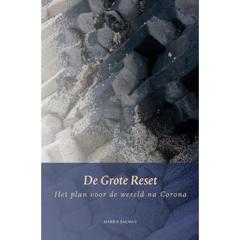 De grote reset (Paperback) bij Singel 344