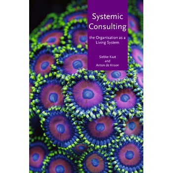 Systemic consulting (Paperback) bij Singel 344