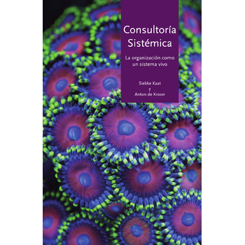 Consultoria Sistemica (Paperback) bij Singel 344