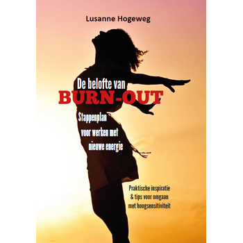 De belofte van burn-out (Paperback) van Lusanne Hogeweg