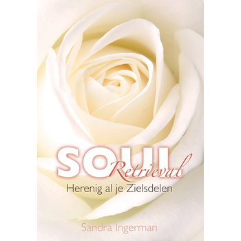 Soul Retrieval (Paperback) bij Singel 344