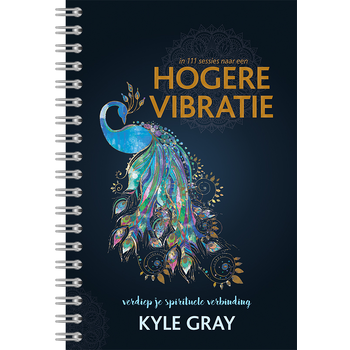 In 111 sessies naar een Hogere Vibratie (Spiral bound) bij Singel 344
