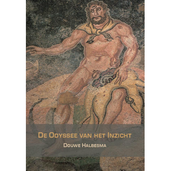 De Odyssee van het inzicht (Paperback) van Douwe Halbesma