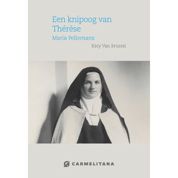 Een knipoog van Therese (Paperback) bij Singel 344