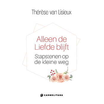 Alleen de liefde blijft (Hardback) bij Singel 344