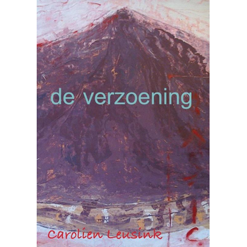 De verzoening (Paperback) bij Singel 344
