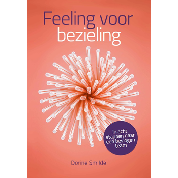 Feeling voor bezieling (Paperback) bij Singel 344