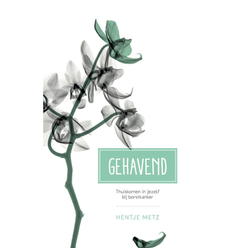 Gehavend (Hardback) bij Singel 344