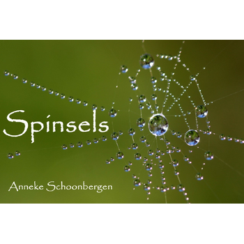 Spinsels (Paperback) bij Singel 344
