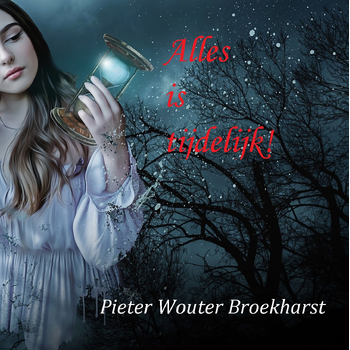 Alles is tijdelijk (Paperback) bij Singel 344