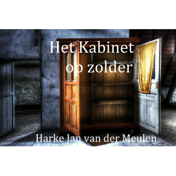 Het Kabinet op zolder (Paperback) bij Singel 344
