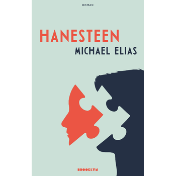 Hanesteen (Paperback) bij Singel 344
