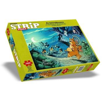 StripPuzzel Bommel - De bovenboazen bij Singel 344