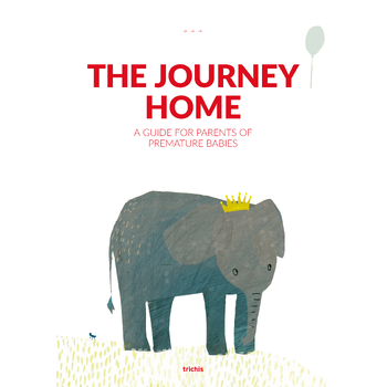 The Journey Home (Paperback) bij Singel 344