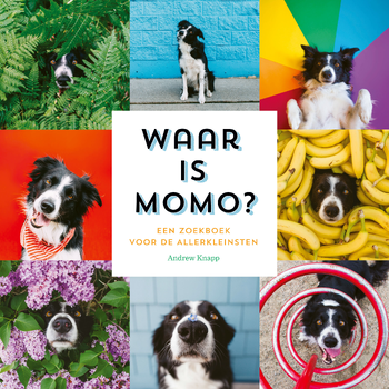 Waar is Momo? (Hardback) bij Singel 344