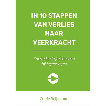 In 10 stappen van verlies naar veerkracht (Paperback) bij Singel 344