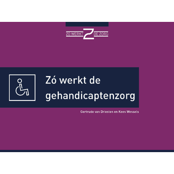 Zó werkt de gehandicaptenzorg (Hardback) bij Singel 344