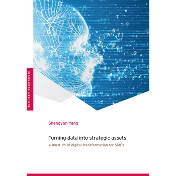 Turning Data into Strategic Assets (Paperback) bij Singel 344