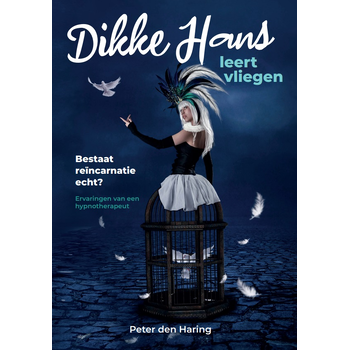 Dikke Hans leert vliegen (Paperback) bij Singel 344