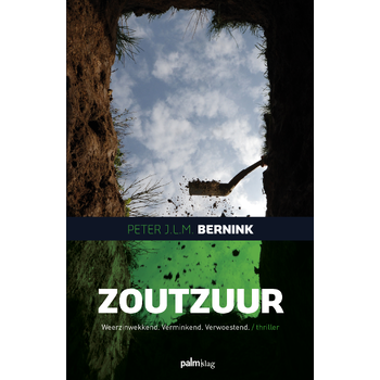 Zoutzuur (Paperback) bij Singel 344