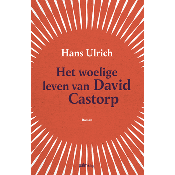 Het woelige leven van David Castorp (Paperback) bij Singel 344