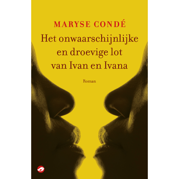 Het onwaarschijnlijke en droevige lot van Ivan en Ivana (Paperback) bij Singel 344