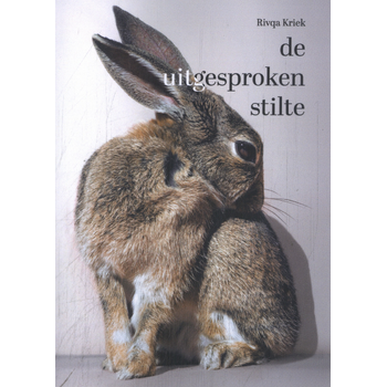 De uitgesproken stilte (Paperback) bij Singel 344