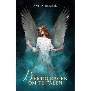 Dertig dagen om te falen (Paperback) bij Singel 344