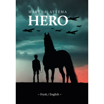 Hero (Hardback) van Martha Attema