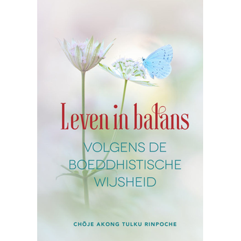 Leven in balans volgens de boeddhistische wijsheid (Hardback) bij Singel 344