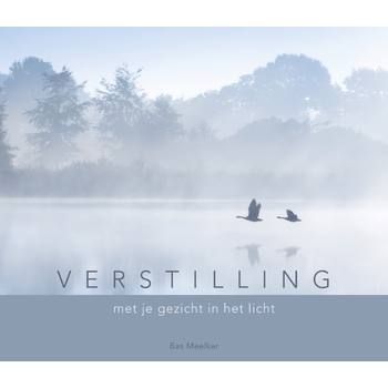Verstilling (Hardback) bij Singel 344
