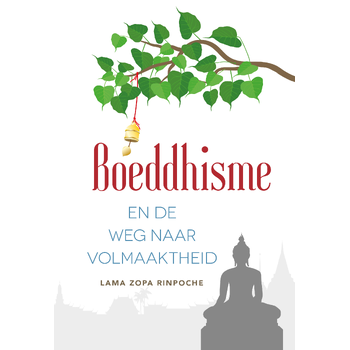 Boeddhisme en de weg naar volmaaktheid (Hardback) bij Singel 344