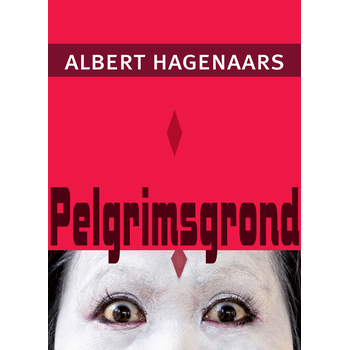 Pelgrimsgrond (Paperback) bij Singel 344