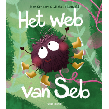 Het web van Seb (Hardback) bij Singel 344