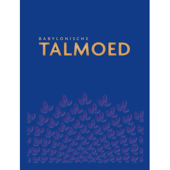 Babylonische Talmoed Sanhedrien 1 en 2 (Hardback) bij Singel 344