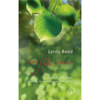 Het Ja-gevoel (Paperback) bij Singel 344