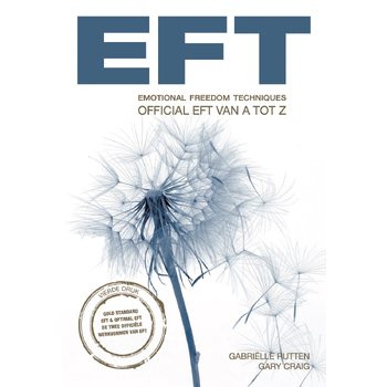 EFT (Paperback) bij Singel 344