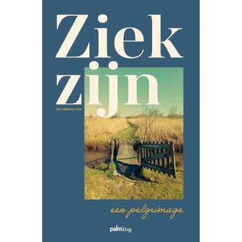 Ziek zijn, een pelgrimage (Paperback) bij Singel 344