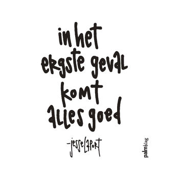 In het ergste geval komt alles goed (Paperback) bij Singel 344
