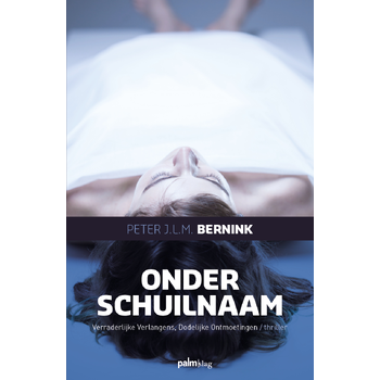Onder schuilnaam (Paperback) bij Singel 344