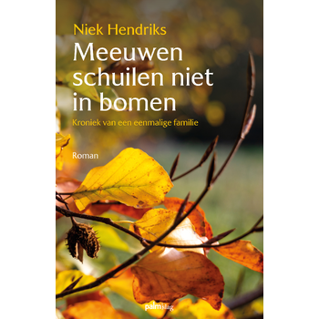 Meeuwen schuilen niet in bomen (Paperback) bij Singel 344
