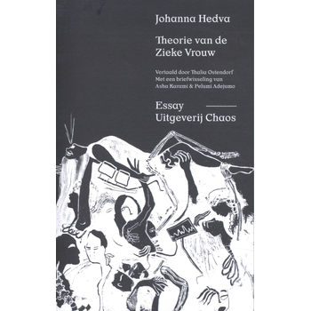 Theorie van de Zieke Vrouw (Paperback) bij Singel 344
