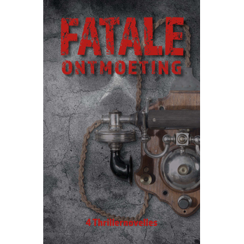 Fatale ontmoeting (Paperback) bij Singel 344