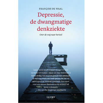 Depressie, de dwangmatige denkziekte (Paperback) bij Singel 344