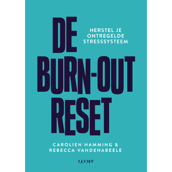 De burn-out reset (Paperback) bij Singel 344
