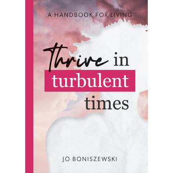 Thrive in turbulent times (Paperback) bij Singel 344