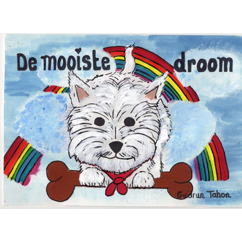De mooiste droom (Hardback) bij Singel 344