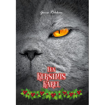 Een Kerstmis Karel (Hardback) bij Singel 344